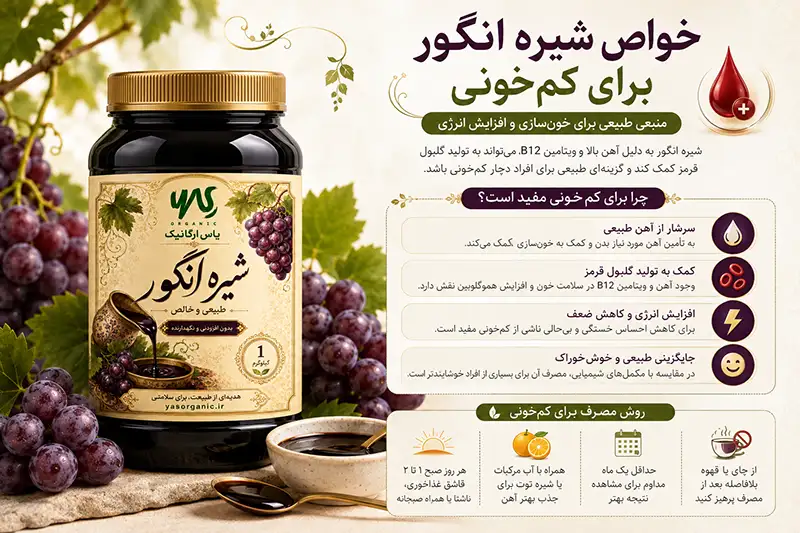خواص شیره انگور؛ از کم‌خونی تا سلامت قلب