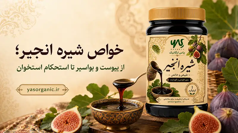مقاله