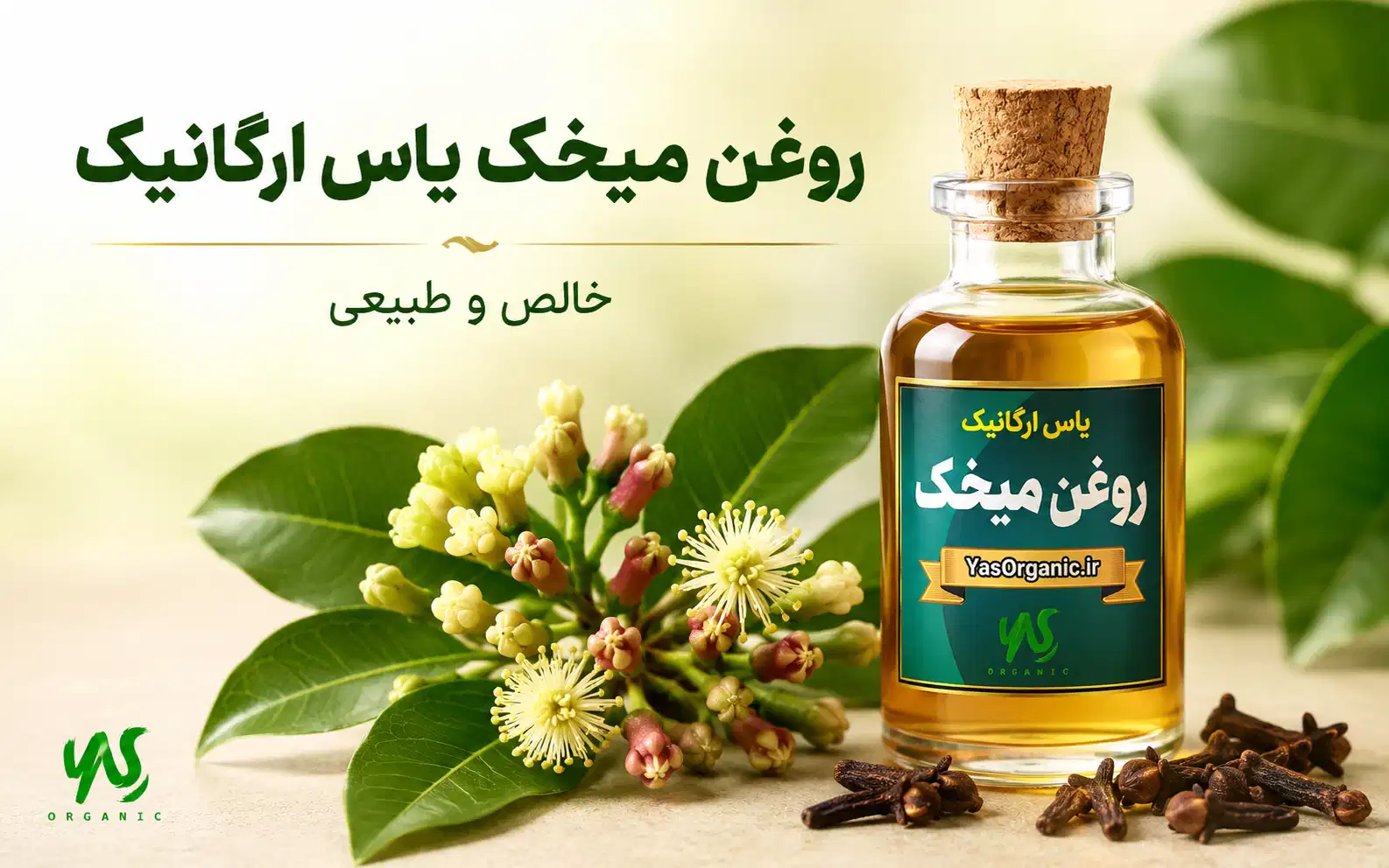 روغن میخک؛ مسکن طبیعی دندان‌درد، خواص و روش استفاده | یاس ارگانیک