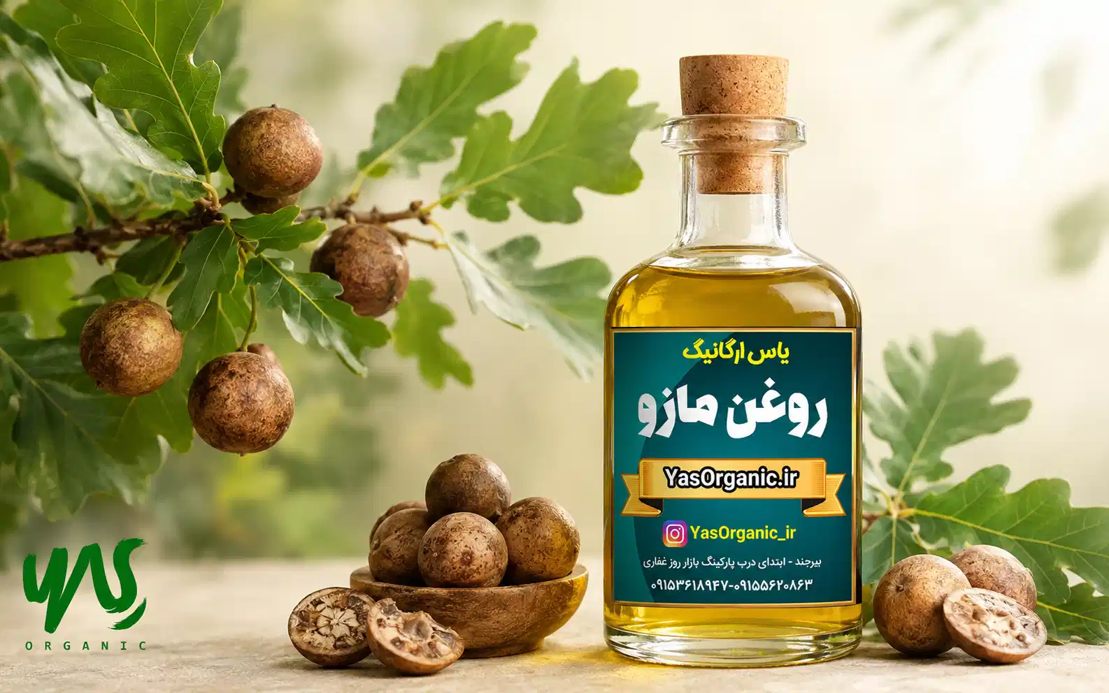 روغن مازو ؛ خواص، کاربرد برای بانوان، پوست و مو | یاس ارگانیک