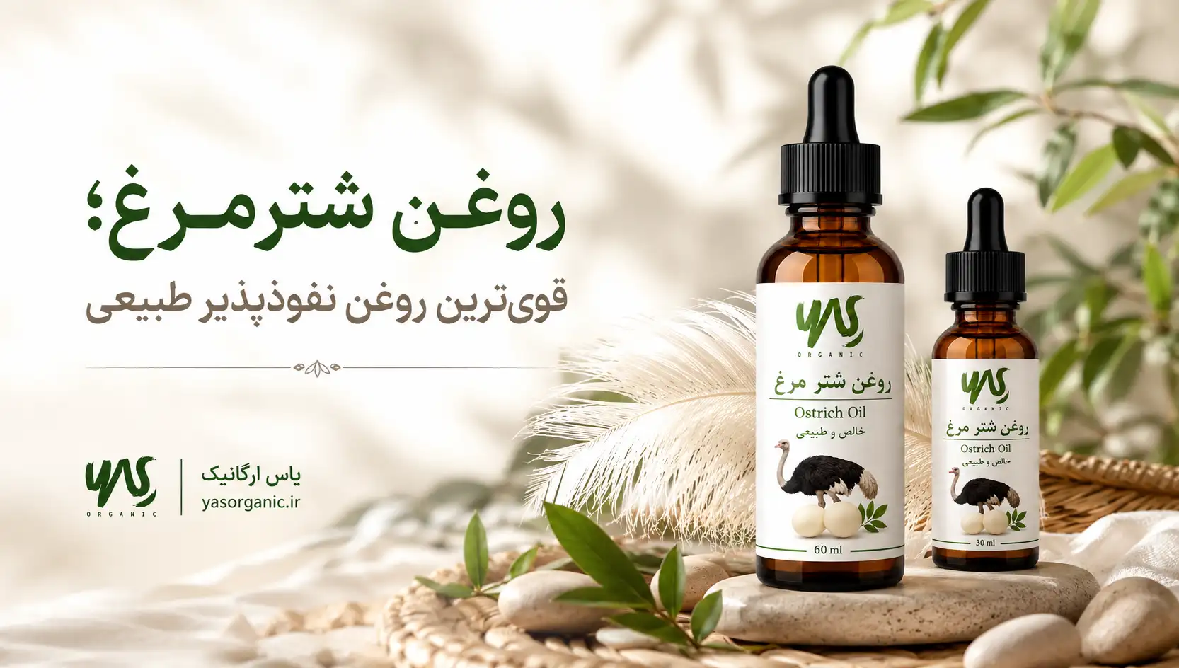 روغن شترمرغ ؛ خواص، کاربردها و نحوه مصرف | یاس ارگانیک