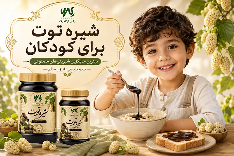 خواص شیره توت؛ از کم‌خونی تا تقویت بینایی