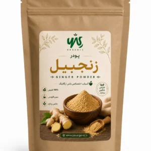 پودر زنجبیل ۱ کیلوگرم