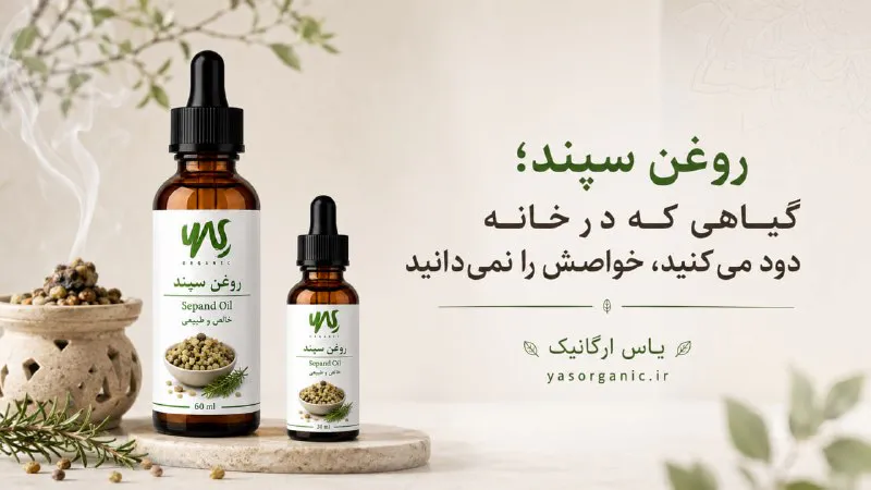 🌿 روغن سپند؛ گیاهی که در خانه دود می‌کنید، خواصش را نمی‌دانید!