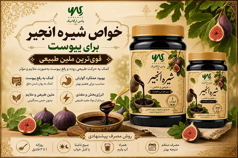 خواص شیره انجیر ؛ از یبوست و بواسیر تا استحکام استخوان