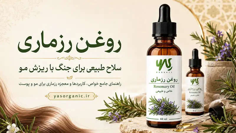 روغن رزماری | سلاح طبیعی برای جنگ با ریزش مو